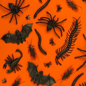 Image of a Bunch of Creepy Crawly and Animal Halloween Decorations
