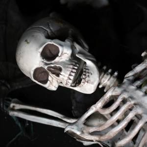 Close up image of a life size Halloween skeleton prop.