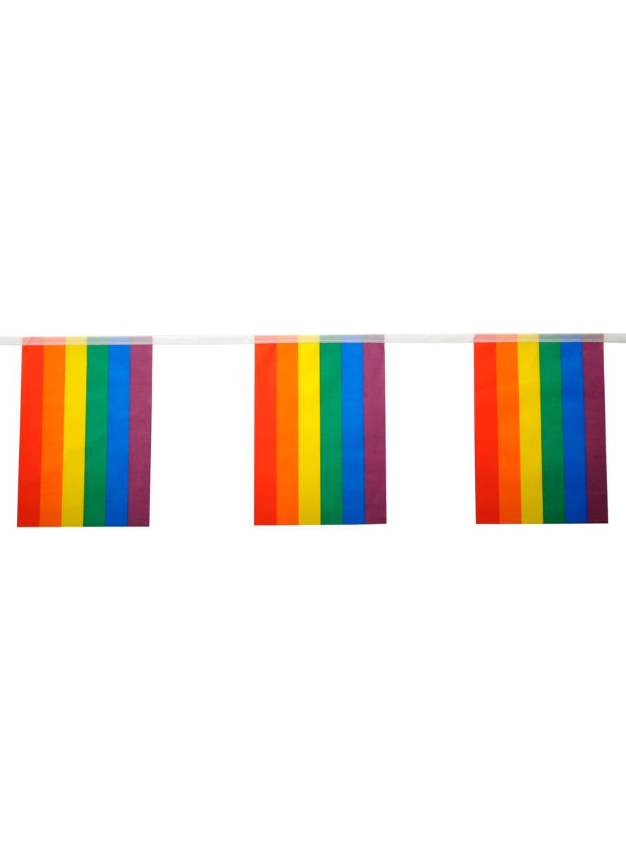 Image of 12 Rainbow Flag Mardi Gras Party Bunting
