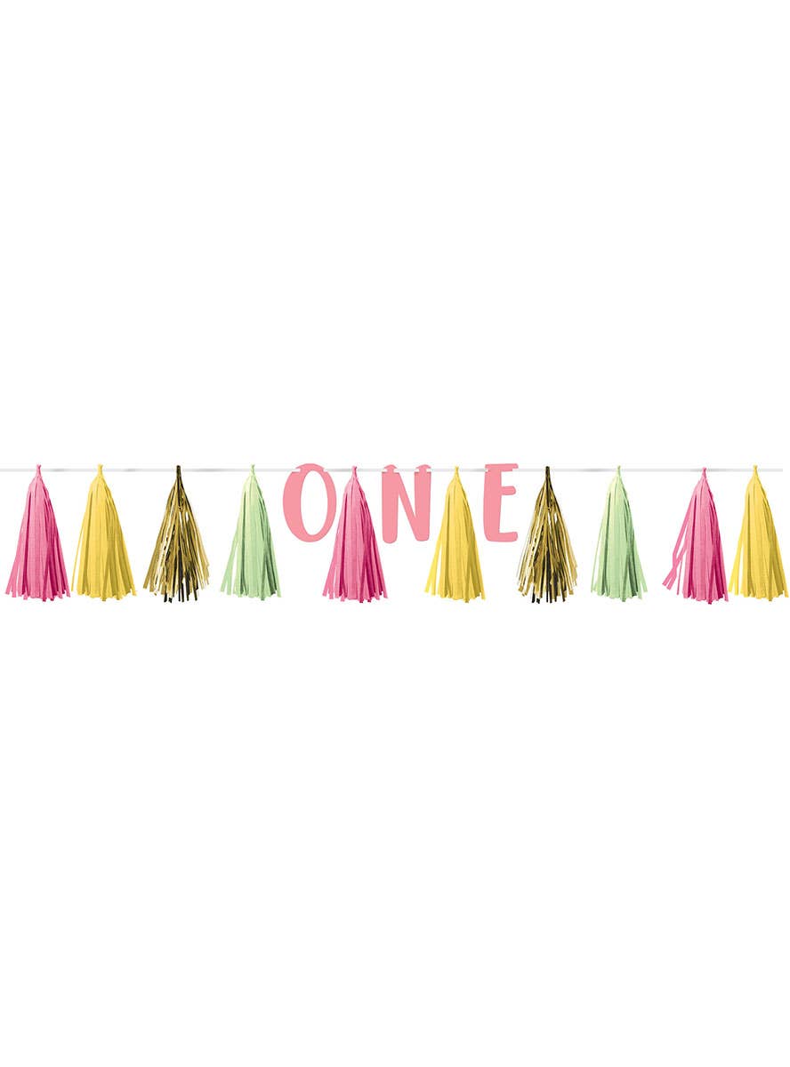 Image of 1st Birthday Girl Tassel Garland Decoration