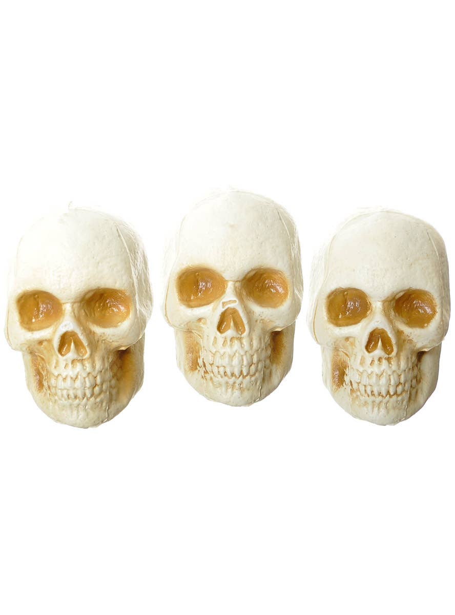 Image of Plastic Human Skulls 3 Pack Halloween Decorations