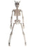 Image of Hanging 40cm Devil Skeleton Halloween Decoration