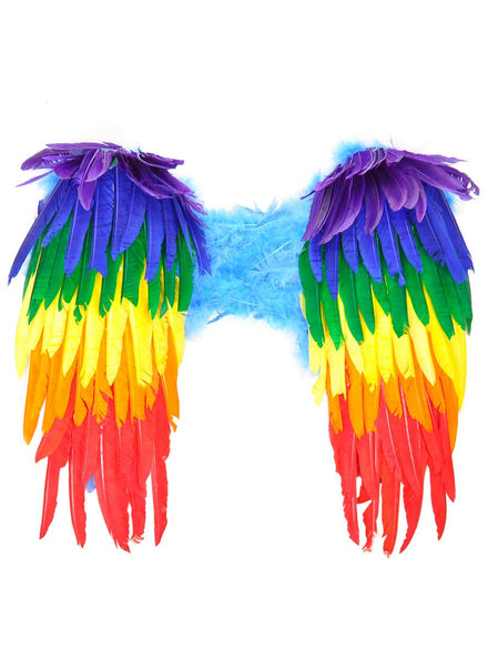 Image of Bubbled Rainbow Feather 45cm Costume Wings