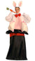 Magic Rabbit out of a Hat Circus Costume - Main Image