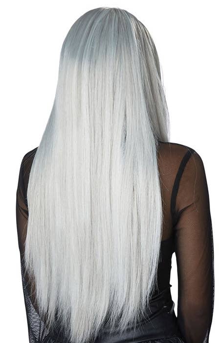 Women's Gothic Matriarch Long Grey And White Halloween Costume Wig Back View