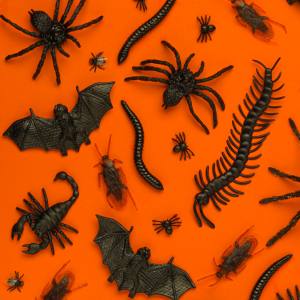 Image of creepy crawlies decorations