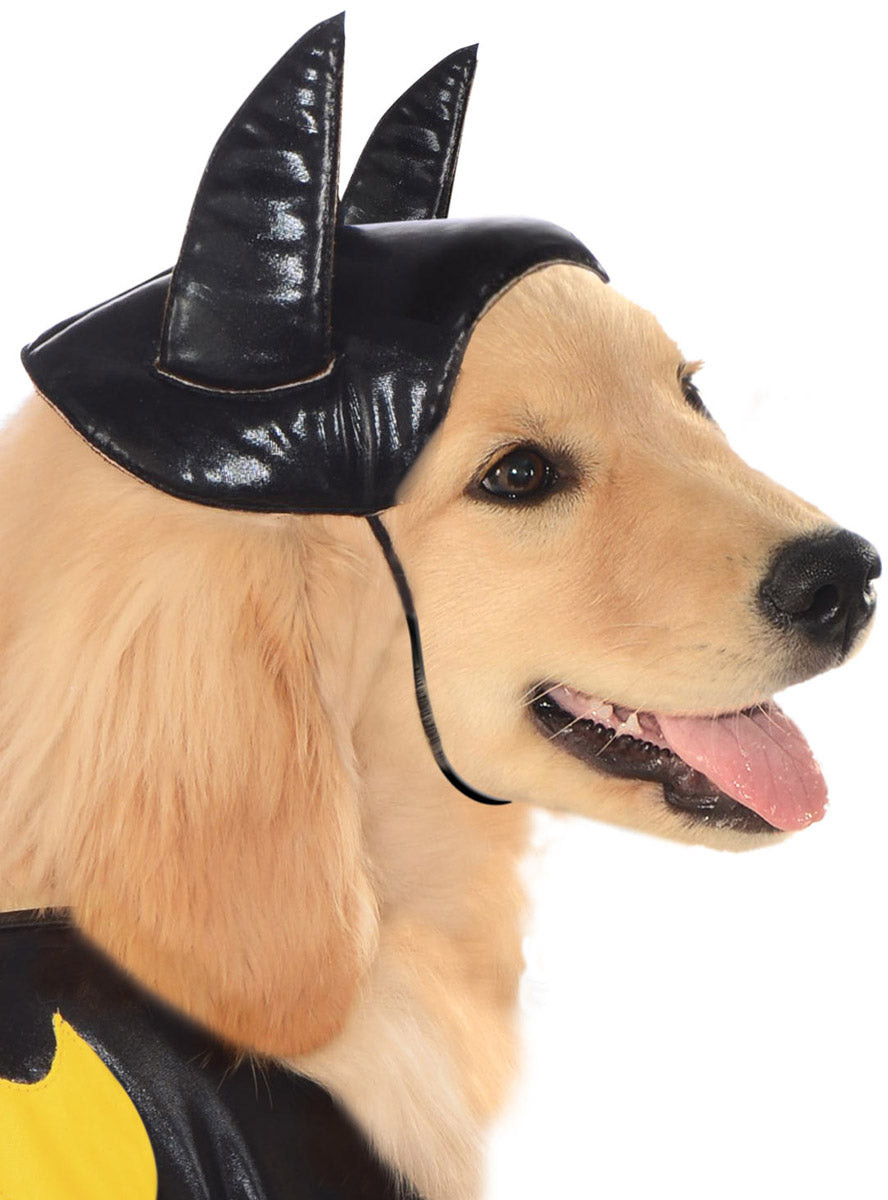 Batgirl Pet Dogs DC Comics Superhero Costume - Close Image