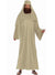 Wiseman Mens biblical Christmas Nativity Costume - Main Image