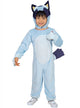 Main Image of Bluey Deluxe Kids Character Costume