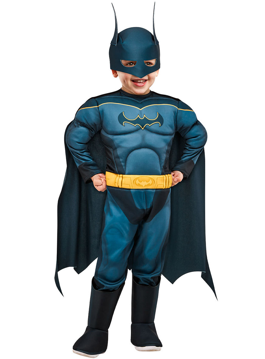 Main image of Batman DC Superhero Pets Toddler Boys Costume