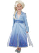 Main image of Frozen 2 Girls Premium Elsa Costume And Wig Set