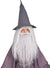 Boys Long Grey Lord Of The Rings Gandalf Beard And Wig Set - Main Image