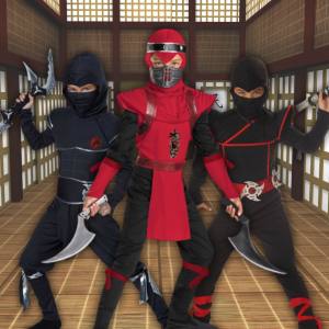 Image of boys in ninja costumes