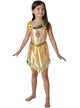 Girls Pocahontas Native American Disney princess Costume - Main Image