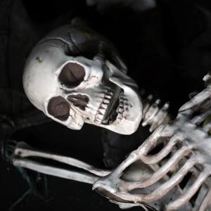 Image of a skeleton halloween decoration