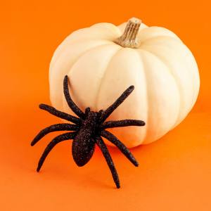 Image of a spider decoration next to a pumpkin