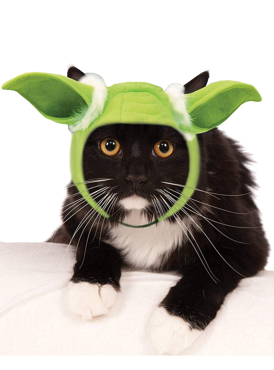 Green Yoda Star Wars Costume Ears For Pets - Main Image