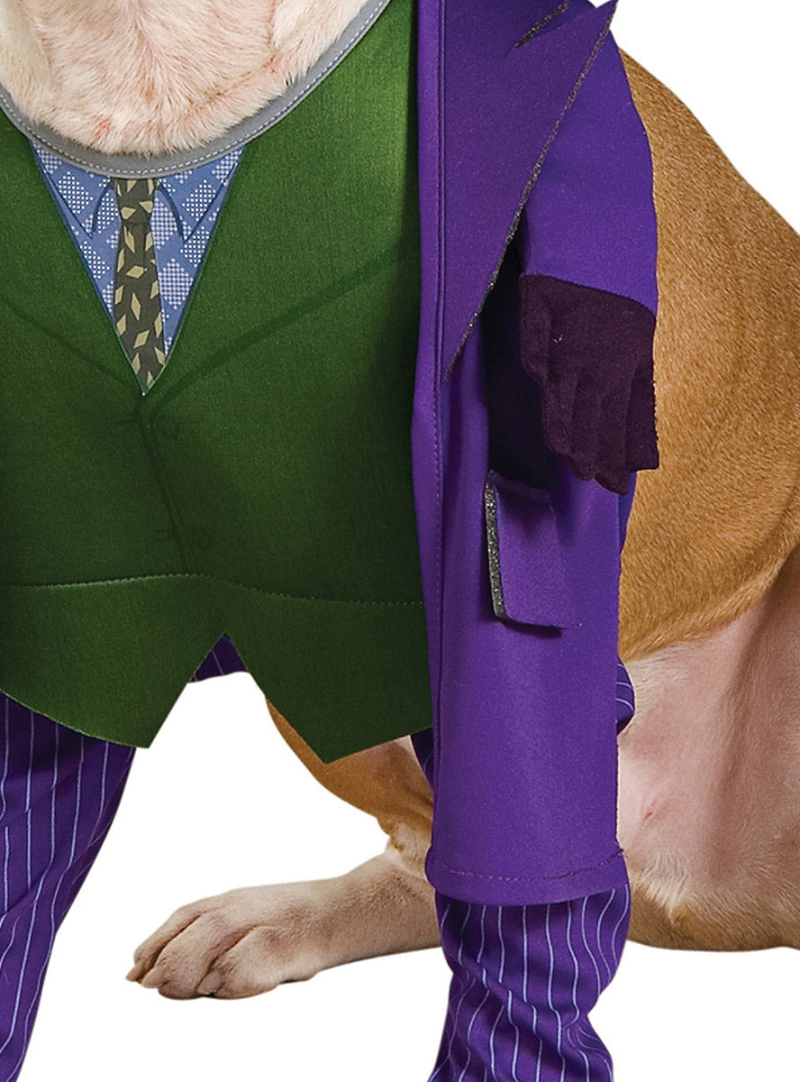 The Joker Pet Dog DC Comics Villain Costume - Close Image 2