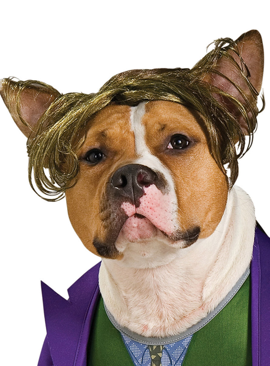 The Joker Pet Dog DC Comics Villain Costume - Close Image