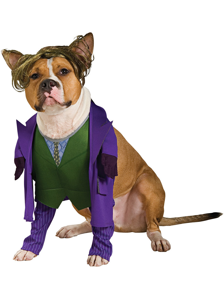 The Joker Pet Dog DC Comics Villain Costume - Main Image