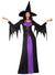 Image of Classic Black and Purple Witch Plus Size Women's Halloween Costume - Main Image