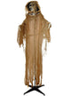 Image of Animated Hooded Skeleton Halloween Decoration with Sounds - Main Image