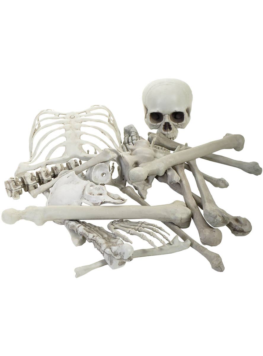 Image of Bag of Human Bones Halloween Decorations