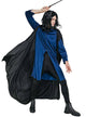 Image of Severus Blue Wizard Men's Dress Up Costume