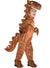 Image of Big Brown Dinosaur Boys T-Rex Costume