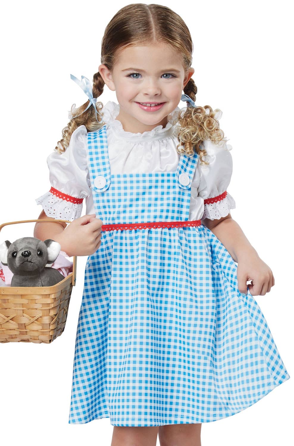 Girls Dorothy Wizard of Oz Book Week Costume Image 2