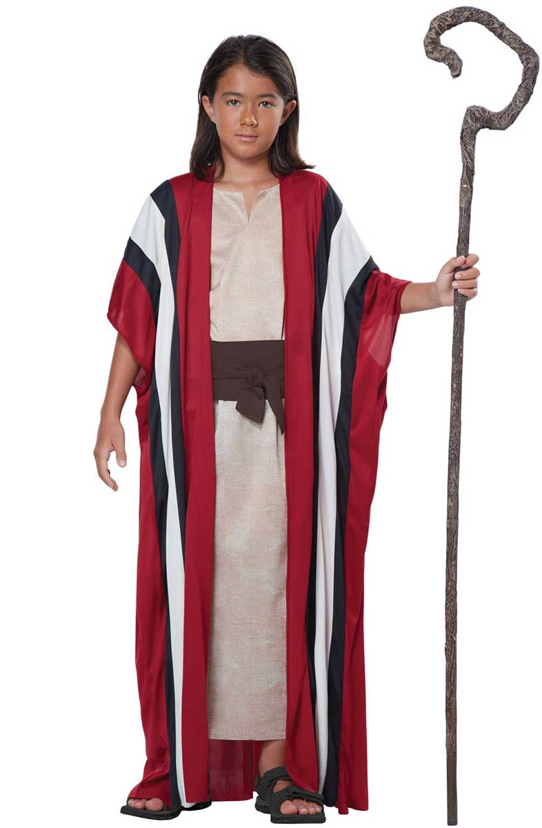 Boys Shepherd Christmas Nativity Fancy Dress Costume