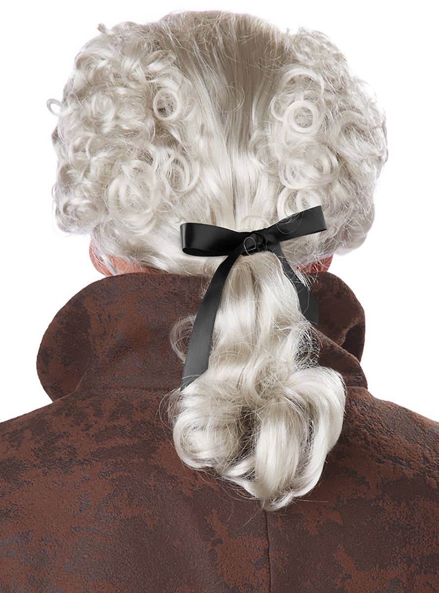 Men's Edwardian Wig with Pony Tail in Silver Back View