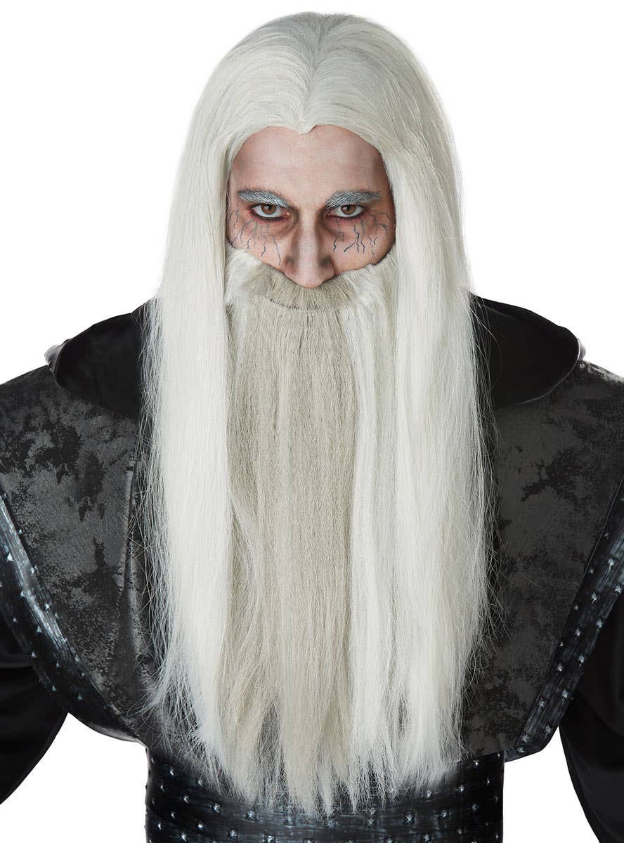California Costumes Men's Dark Wizard Halloween Costume Wig And Beard Set