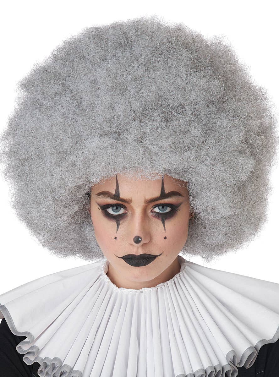 Adult's Jumbo Silver Grey Clown Afro Costume Accessory Main Image