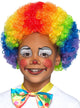 Image of Curly Rainbow Clown Afro Kid's Costume Wig - Main Image