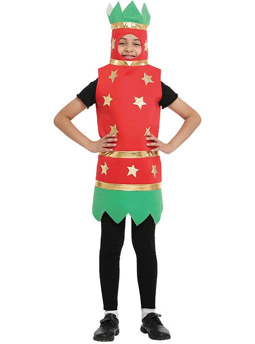 Image of Christmas Cracker Novelty Kids Costume