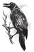 Black Raven Temporary Body Tattoo Costume Accessory Main Image