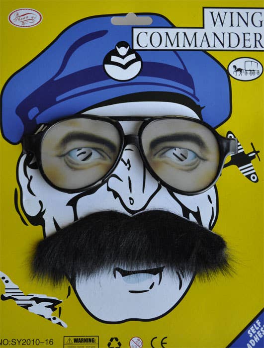 Black Aviator Costume Glasses and Moustache Accessory Set