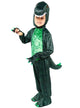 Image of Dark Green Dinosaur Boys Dress Up Costume