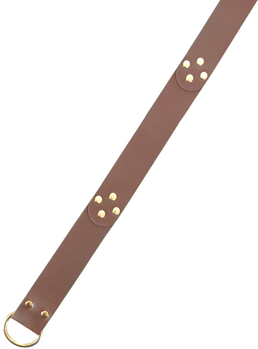 Image of Deluxe Brown Leather Look Medieval Costume Belt - Alternate Image