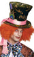 Green Velvet Mad Hatter Tim Burton Alice in Wonderland Costume Accessory Main Image