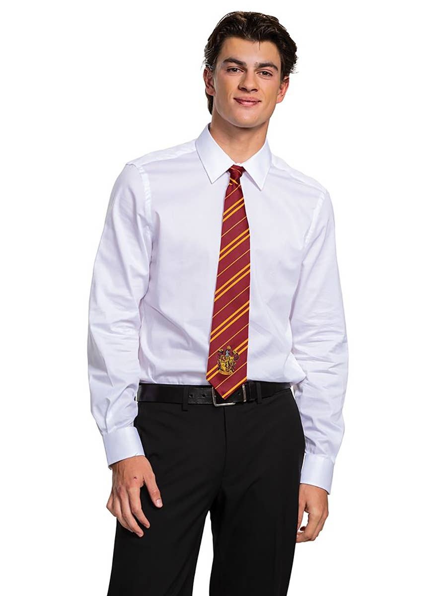 Deluxe Gryffindor Harry Potter Costume Tie - Alternative Image