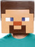 Adults Minecraft Steve Mask - Front Image
