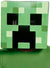 Adults Minecraft Creeper Mask - Front Image