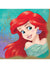 Image Of Disney Princesses Ariel 16 Pack Paper Lunch Napkins