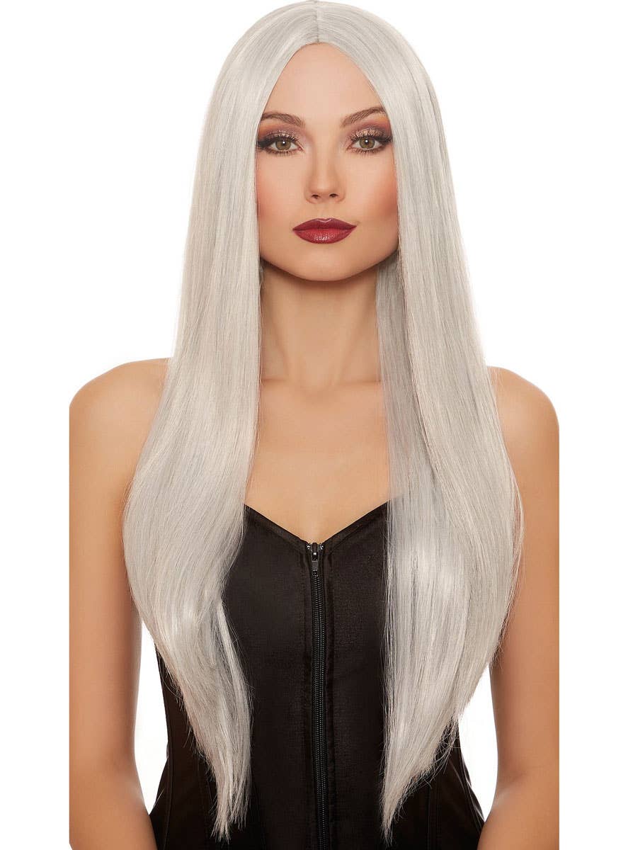 Long Silver Grey Women's Costume Wig