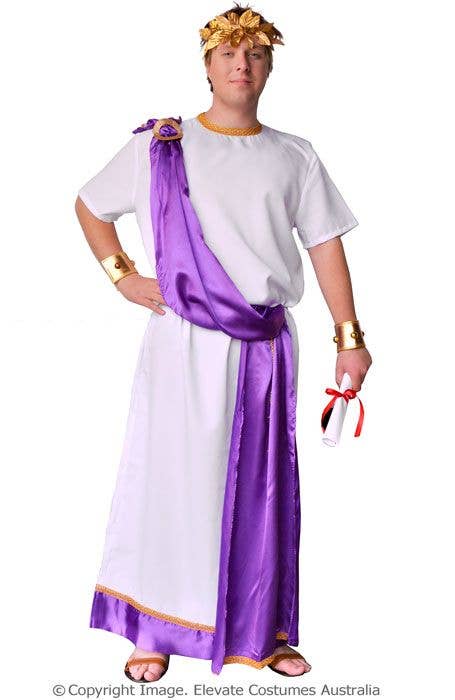 Adult's Roman Toga Julius Caesar Fancy Dress Plus Size Costume Main Image