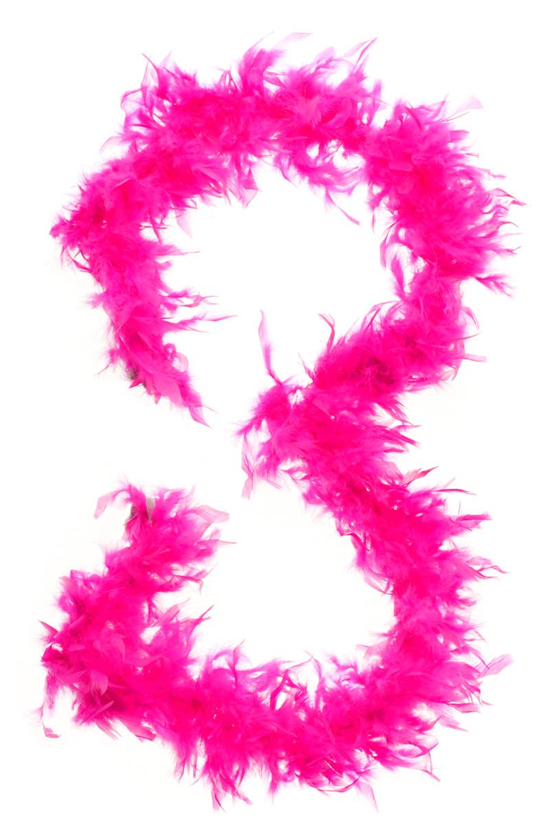 Hot Pink Feather Boa Costume Accessory View 2