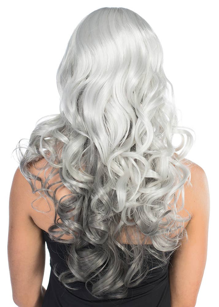 Image of Deluxe Long Curly Grey Ombre Women's Costume Wig - Back View