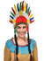 Image of Native American Multicoloured Feather Headdress